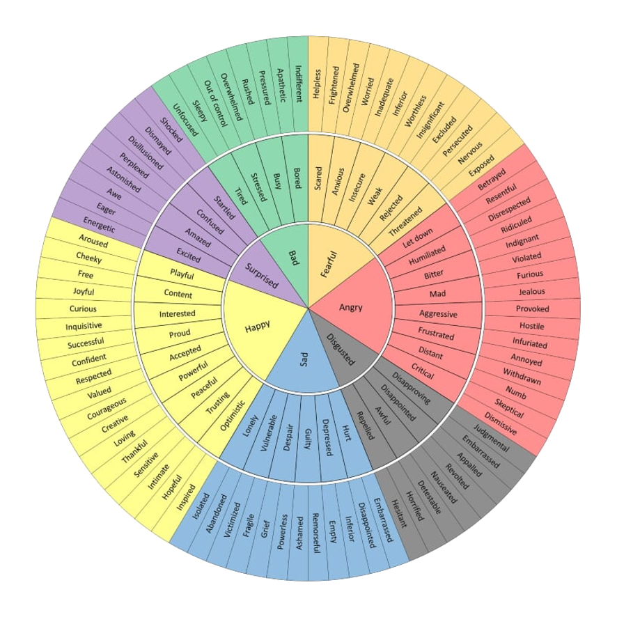 A circular chart with with simple to more complex emotional descriptors, expanding from the center of the chart