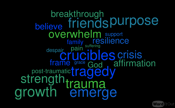 Word Cloud on key points about crucibles