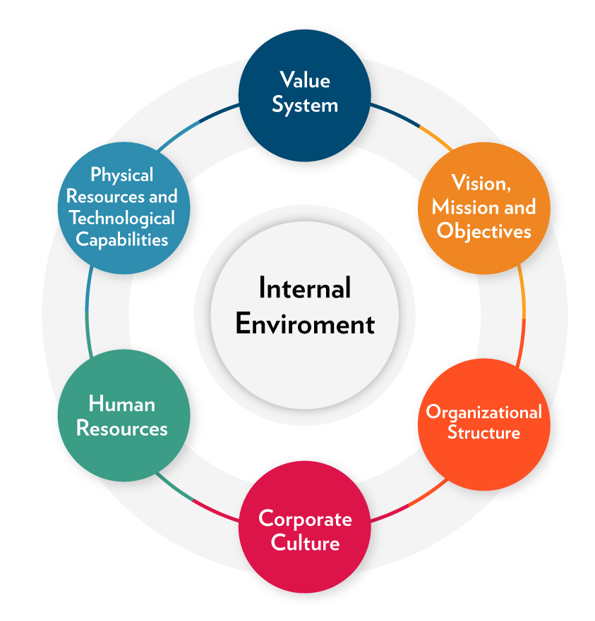 Figure 3.5. Factors Influencing Internal Environment