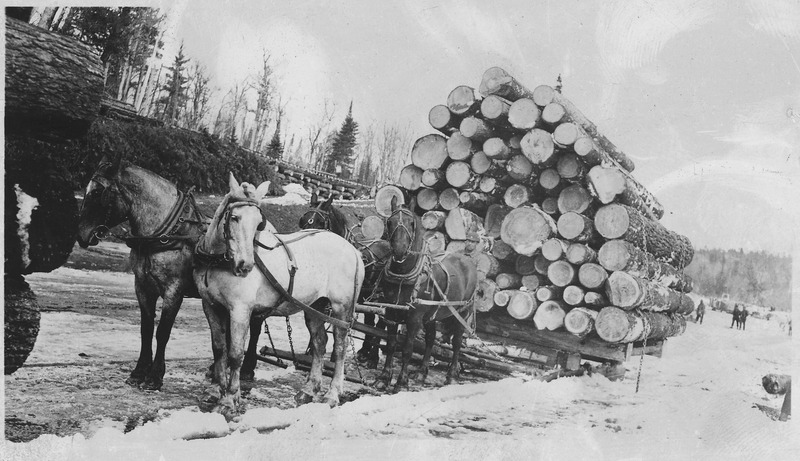 A team of horses pulling a cart full of logs